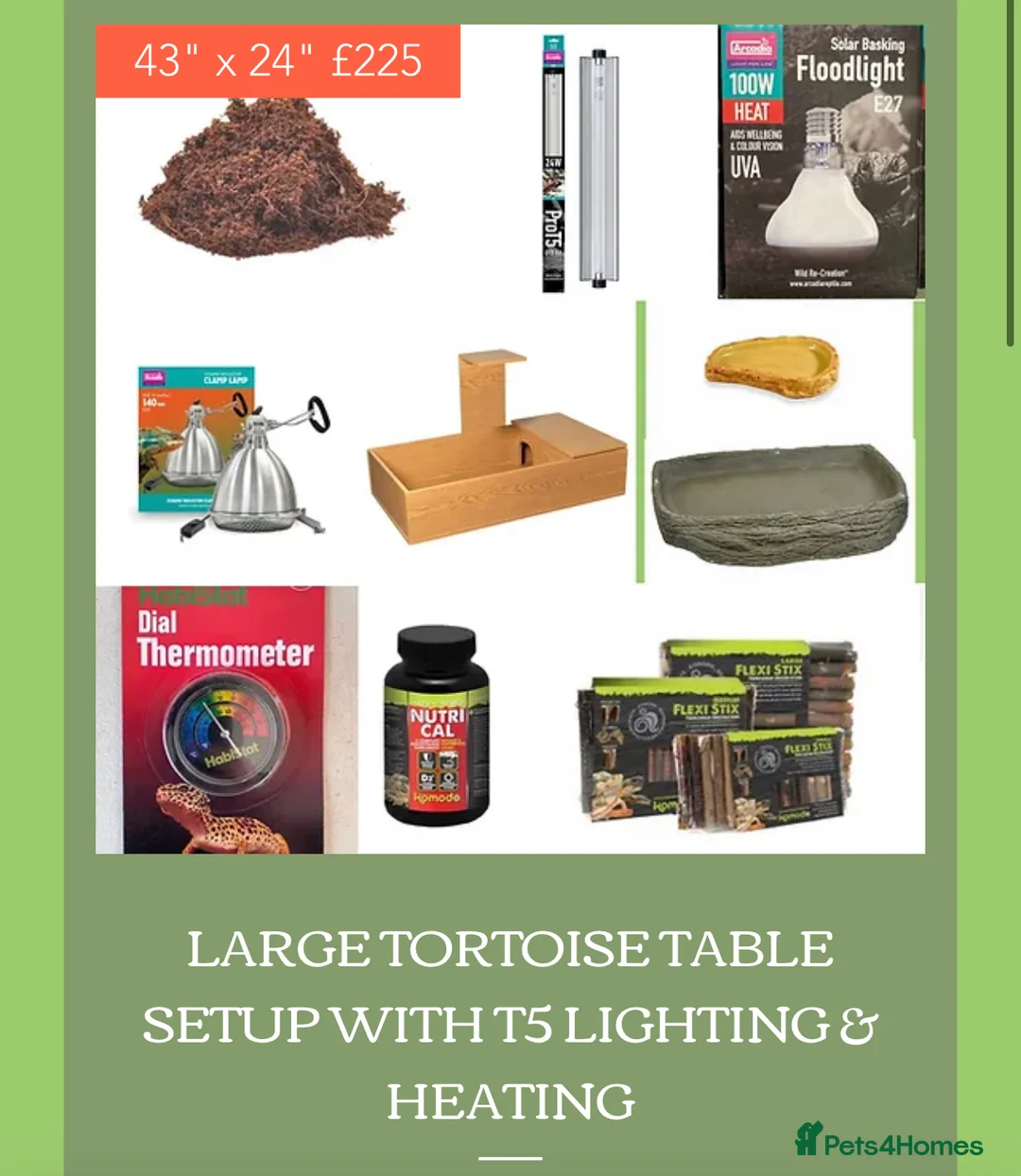 Tortoise reptiles for sale: Baby hermanns tortoises ready now. Setups also av - Advert 7