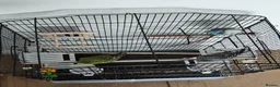 Budgerigars birds for sale: 3 Exhibition Budgies with cage & Accessories - Advert 10