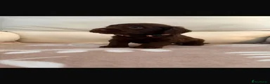 Cockapoo 7