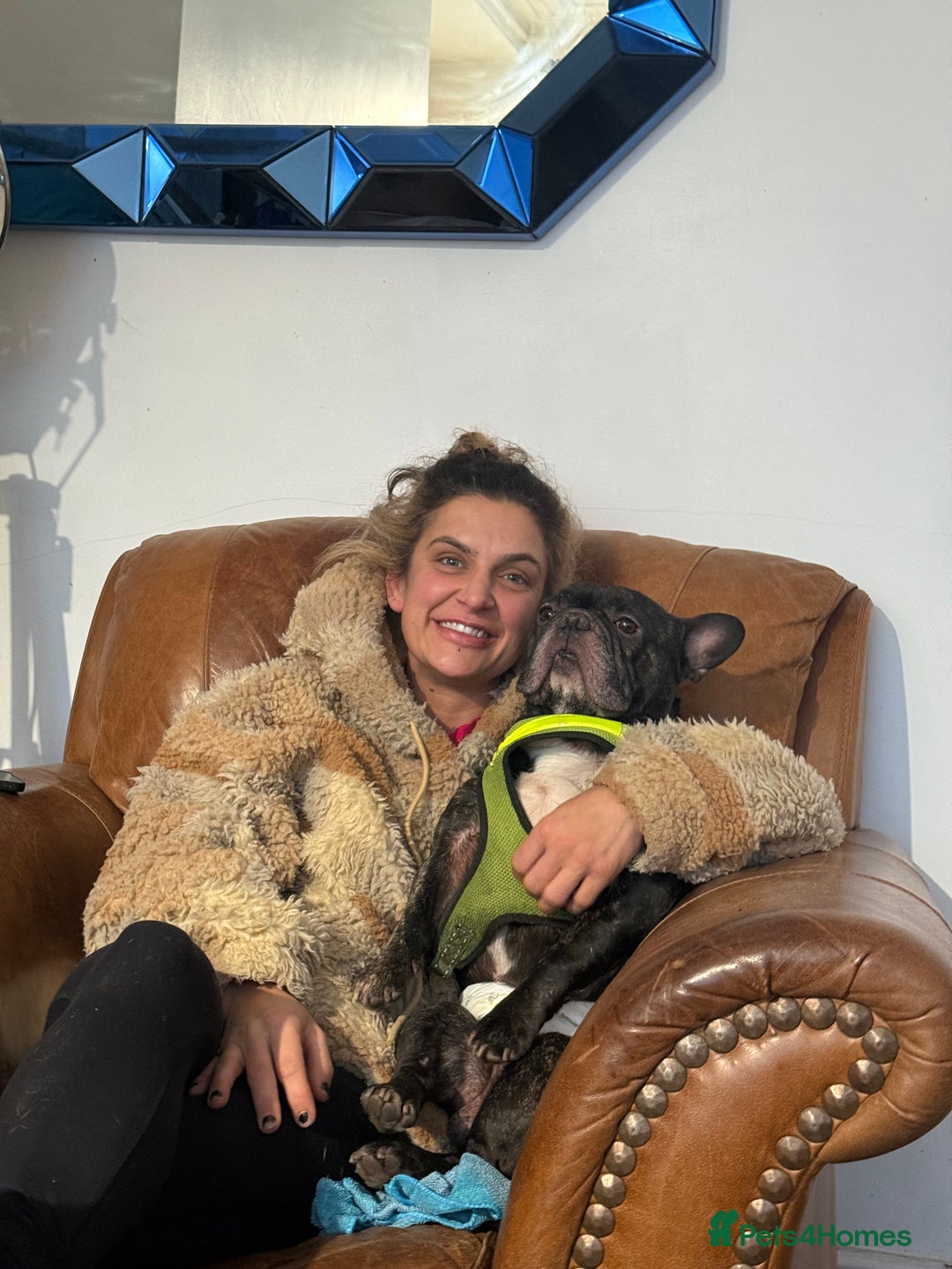 French Bulldog dogs for sale: Urgent home needed for pet  - Advert 2