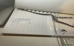 Corn Snake reptiles for sale: various baby corns avaliable  - Image 2