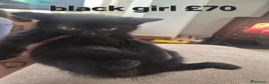 Black girl