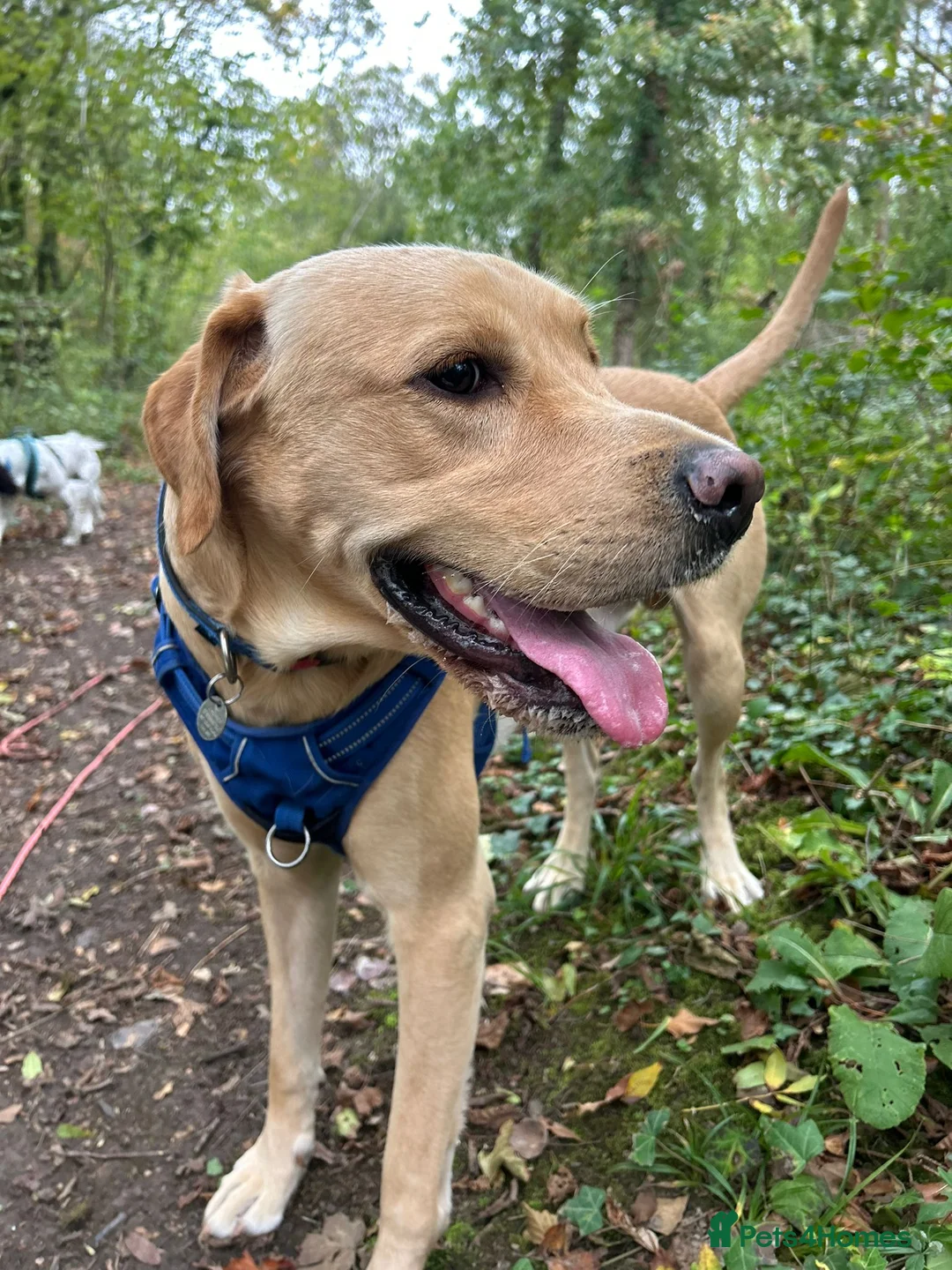 Gallery Image {{count}}