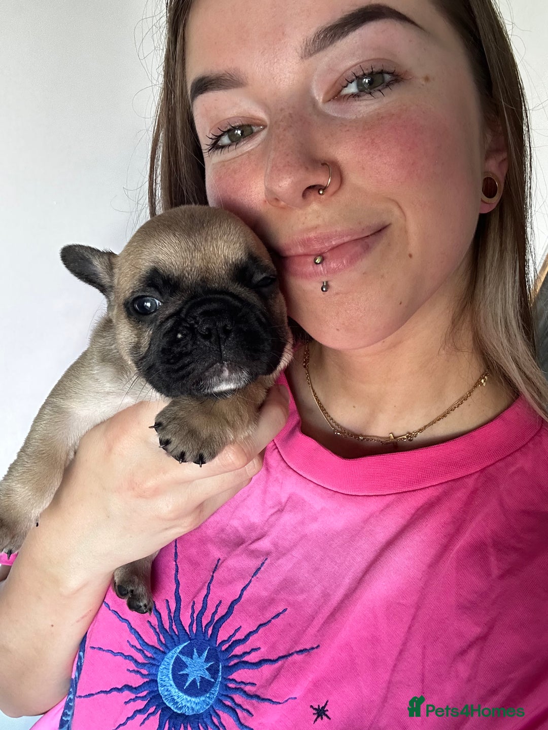 French Bulldog dogs for sale: FrenchAngels 👼🏼🐾 - Image 24