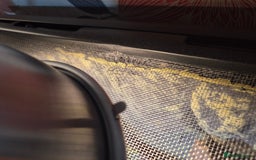 Gecko reptiles for sale: 2 x Female Tokay geckos and individual set ups - Image 25
