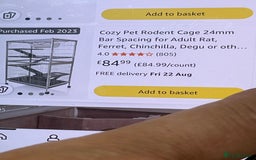 Ferret rodents for sale: Two albino male ferrets  - Image 6