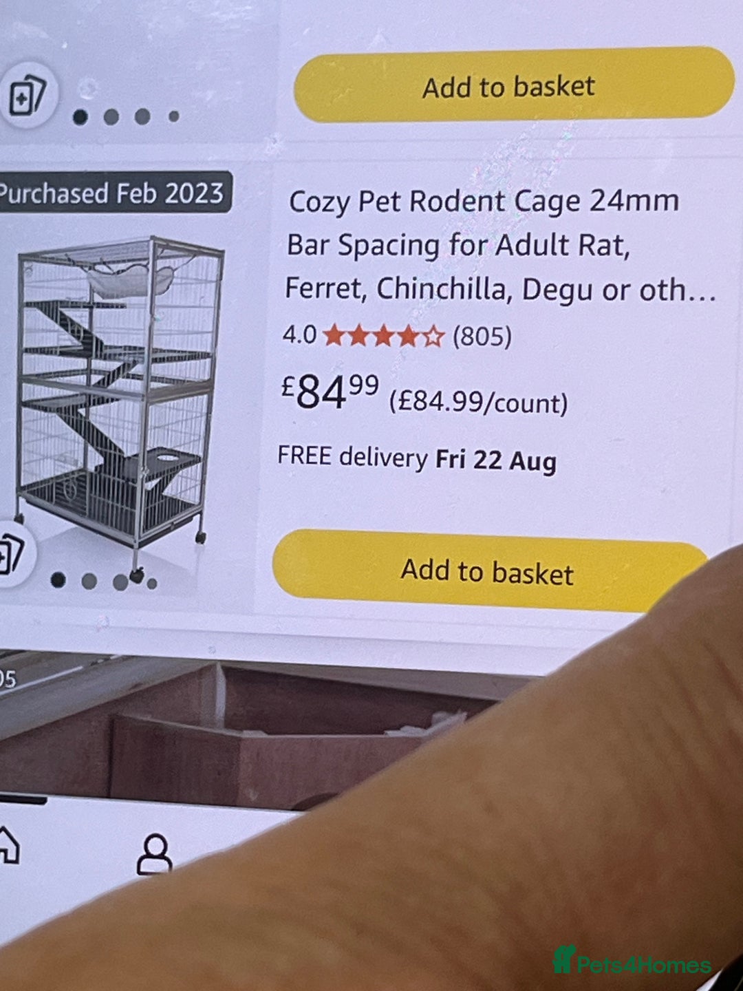 Ferret rodents for sale: Two albino male ferrets  - Image 6