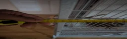 Cockatiels birds for sale: Bonded Cockatiels (Ozzy & Eva) + Complete Setup 🏡 - Advert 2