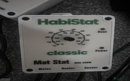 Leopard Gecko reptiles for sale: Exo Terra Terrarium - Full Leopard Gecko Setup - Advert 11