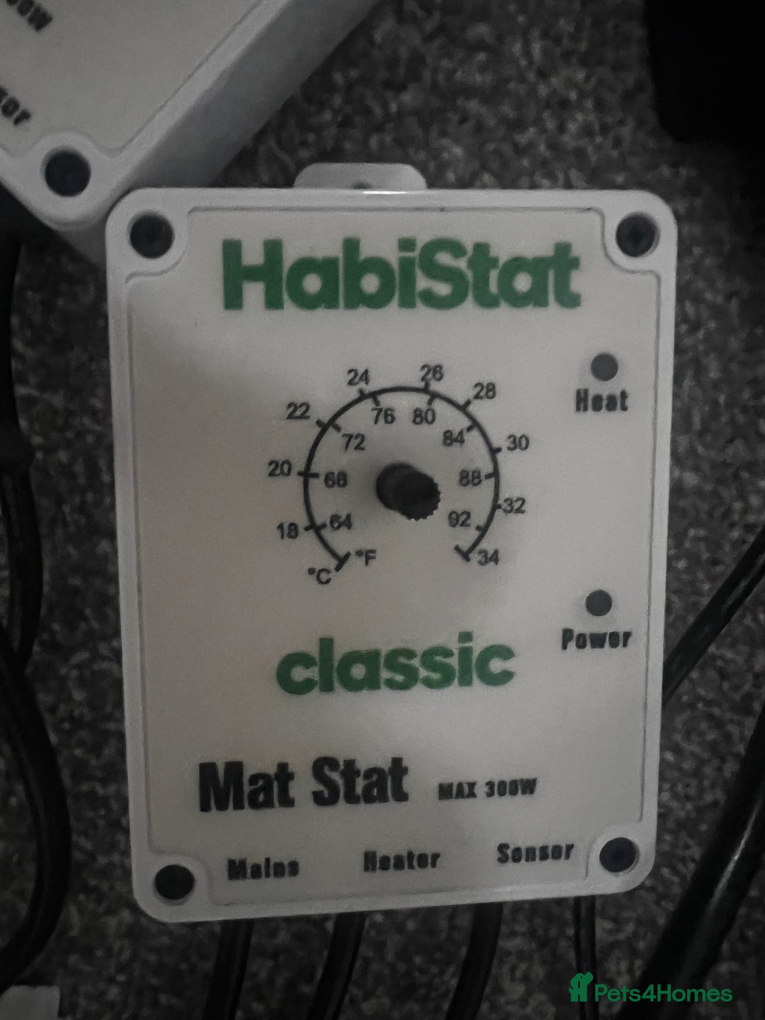 Leopard Gecko reptiles for sale: Exo Terra Terrarium - Full Leopard Gecko Setup - Advert 11