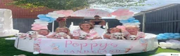 Miniature Dachshund dogs for sale: Pure White GHOST dachshunds - Advert 17