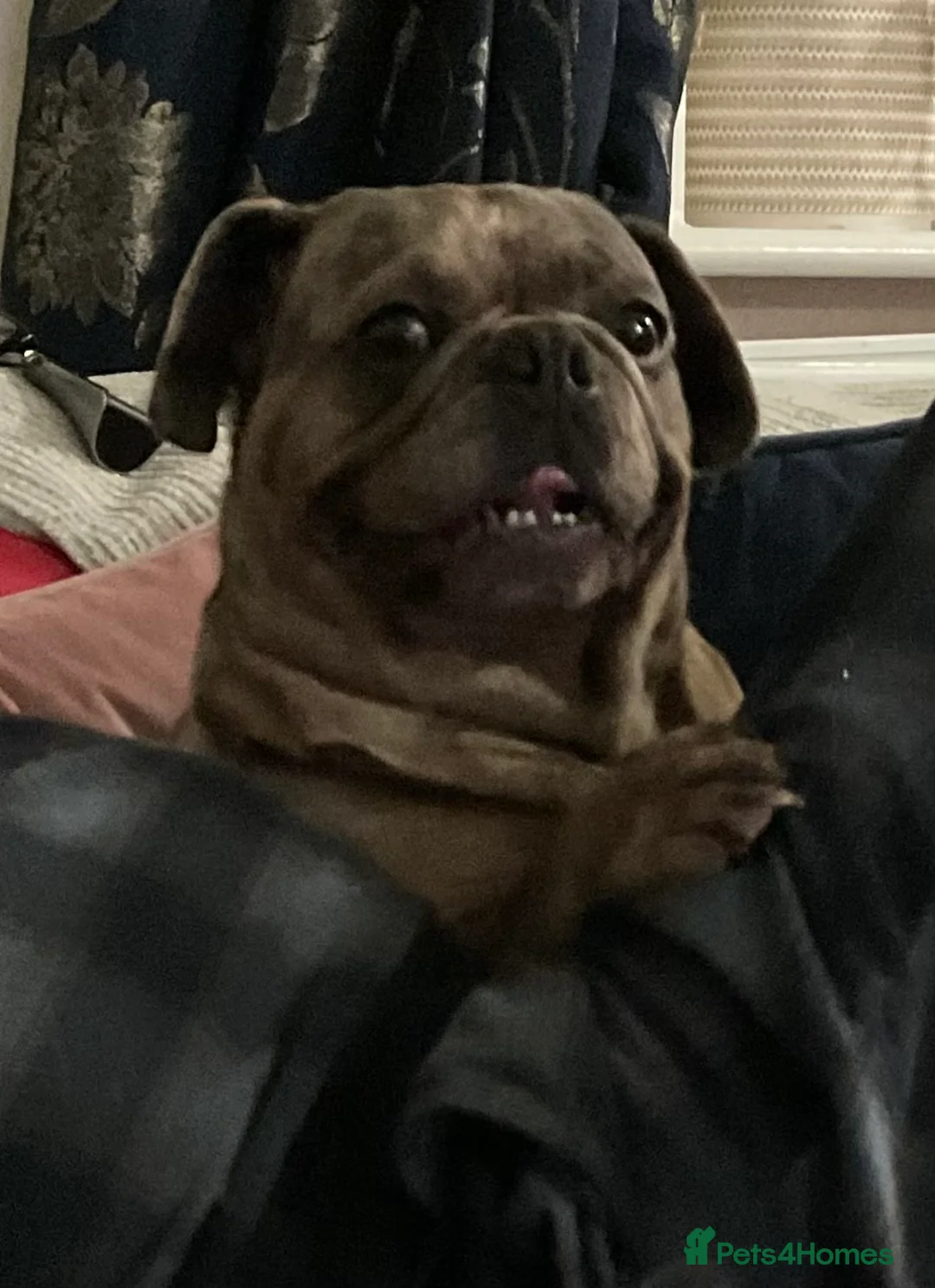 Gallery Image {{count}}