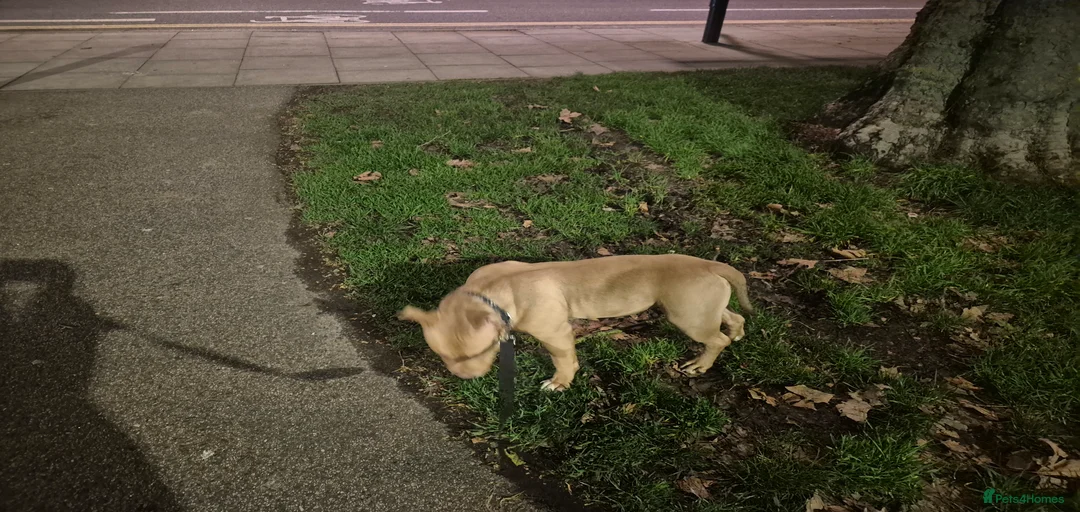 Gallery Image {{count}}