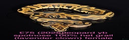 Python Snake reptiles for sale: Various royals for sale. (Reduced)  - Advert 17