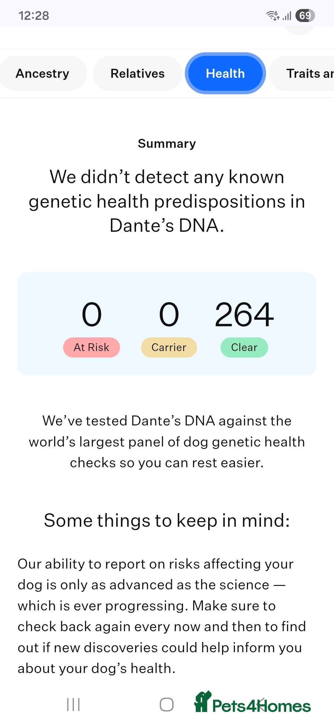 Akita dogs for stud: American akita proven stud  - Image 24