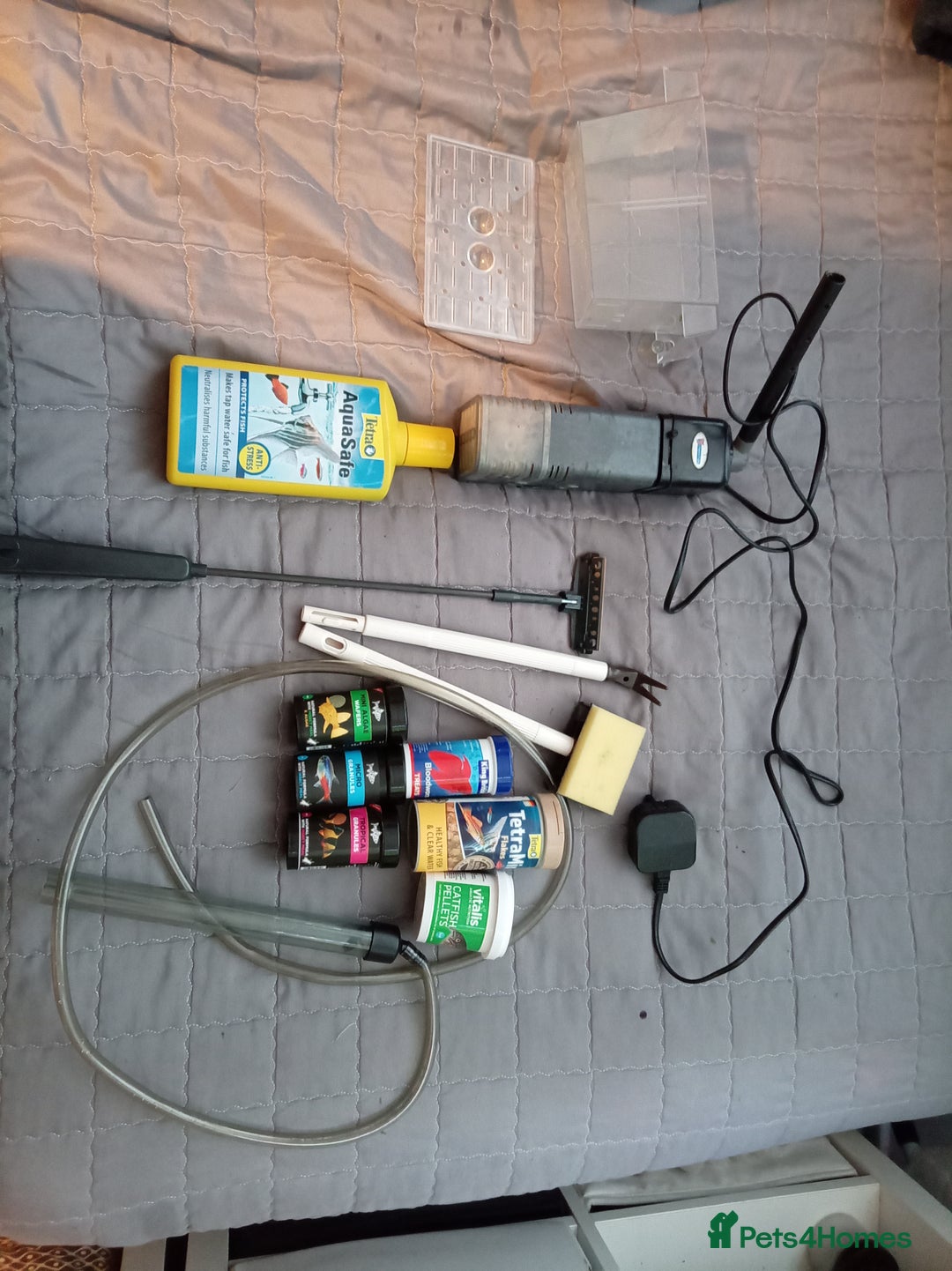 Other/Mixed Breed fish for sale: Fish tank fish and accessories - Image 7