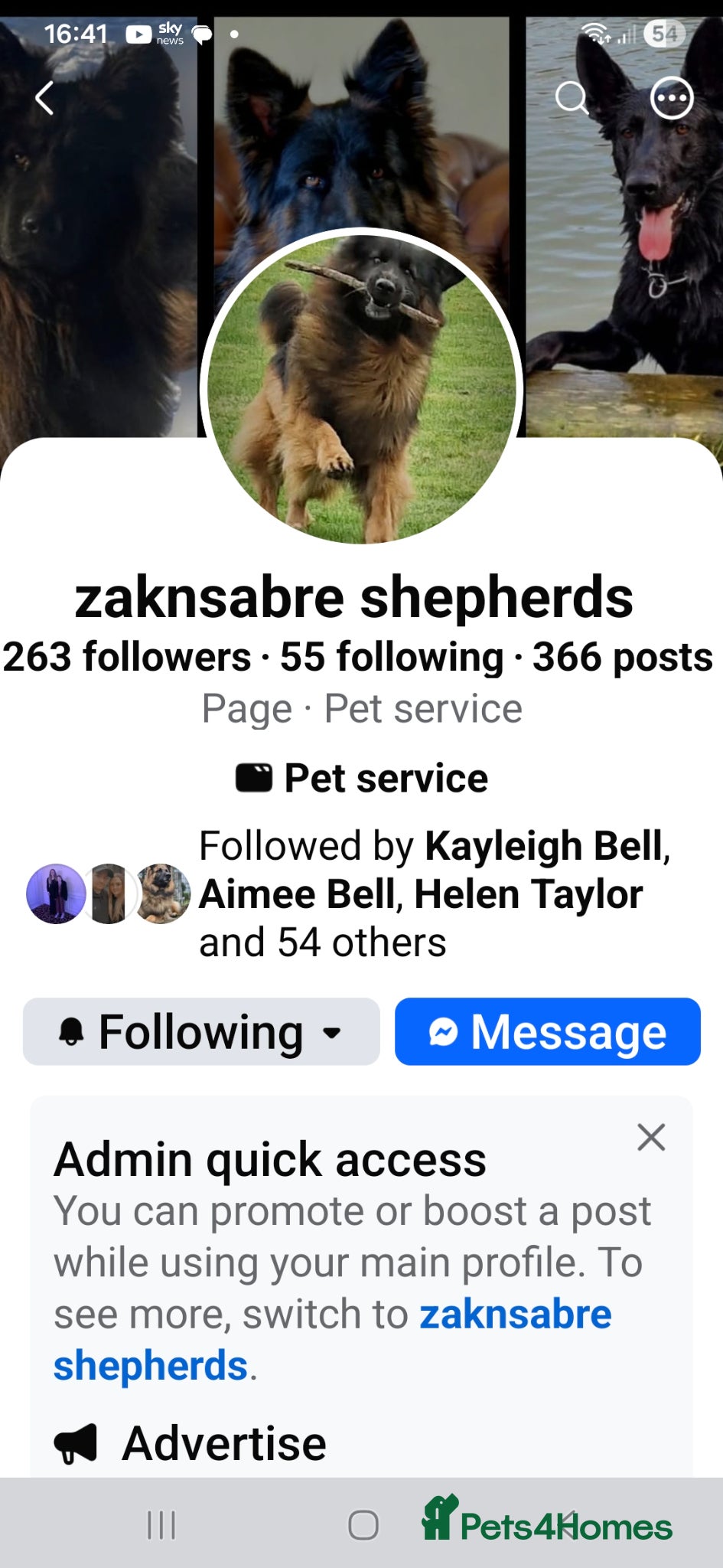 German Shepherd dogs Stunning KC reg long coat German shepherd puppies  - Advert 2