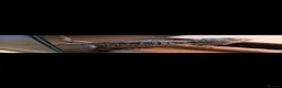 Bearded Dragon reptiles for sale: Bearded Dragon for Sale - Advert 3