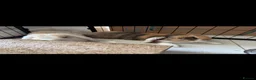 Mini Lop rabbits for sale: 🐰 Bonded Mini Lop Rabbits Looking for a New Home in Peterborough - Advert 1