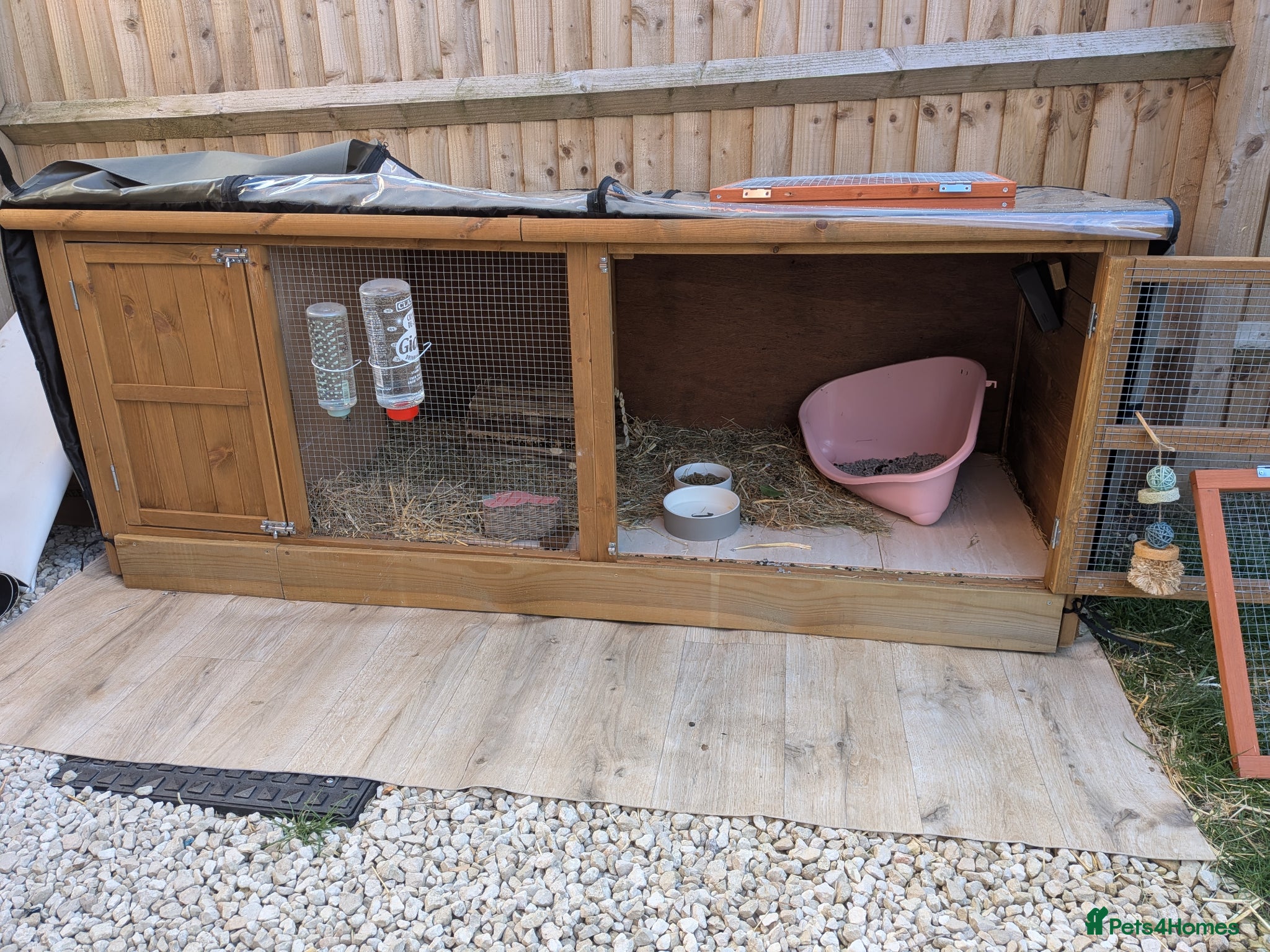 Mixed Breed rabbits for sale: Female rabbit WITH HUTCH and everything needed. - Advert 6