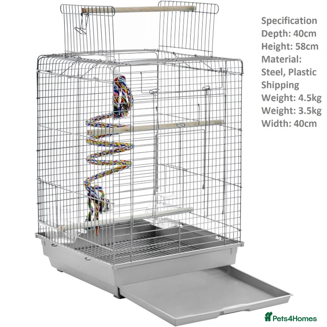 Lovebirds birds for sale: Rarecolour lovebird pair with cage - Advert 2