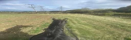 English Thoroughbred horses for sale: Sienna - 15.2hh, 10yo TB MARE in Corby - Advert 10