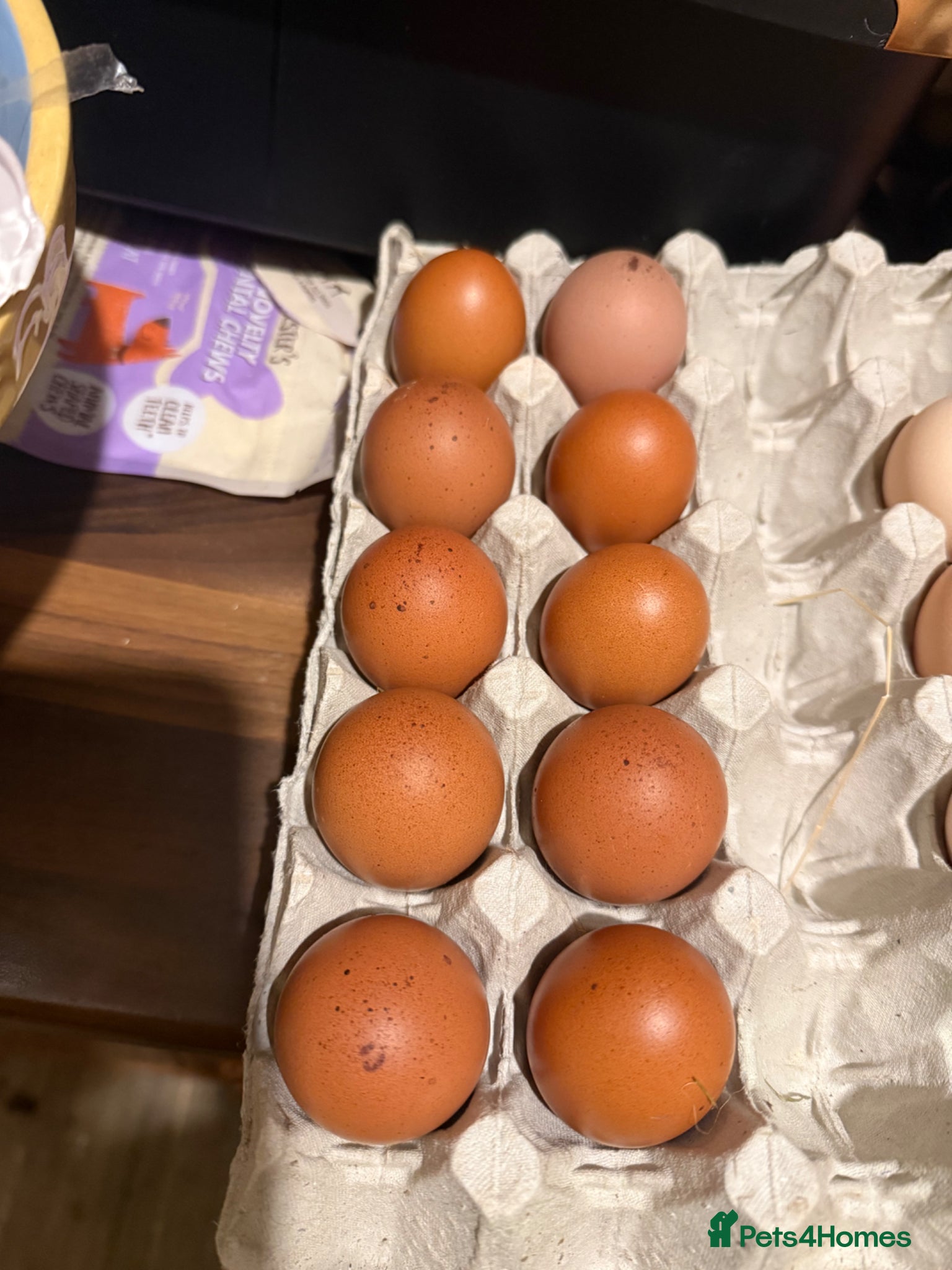 Chickens poultry Hatching eggs for sale - Advert 14