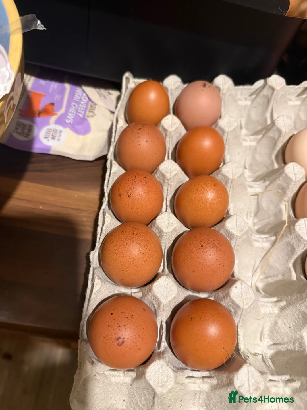 Chickens poultry for sale: Hatching eggs for sale in Bromyard - Advert 1