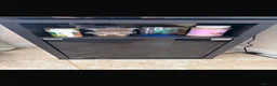 Chameleon reptiles for sale: Western Green Chameleon Male  in Grantham - Advert 8
