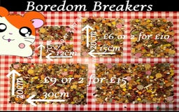 Hamster rodents for sale: Baby hamster  - Advert 2