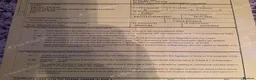 Tortoise reptiles for sale: Spurtheigh tortoise in Swansea - Advert 6