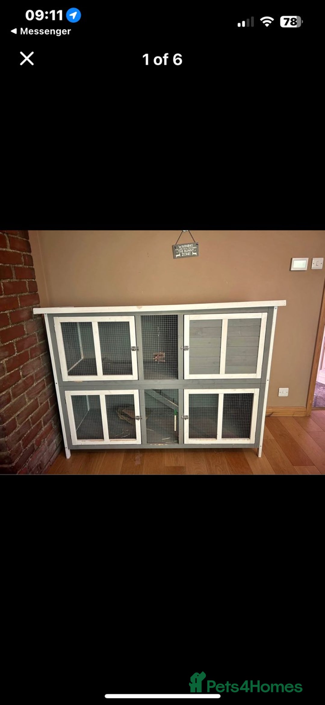 Mixed Breed rabbits for sale: Pair of rabbits for rehoming asap - Advert 6