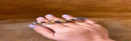 Leopard Gecko reptiles for sale: Leopard gecko babies  - Advert 5