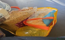 Hamster rodents for sale: asap small hamster - Image 4
