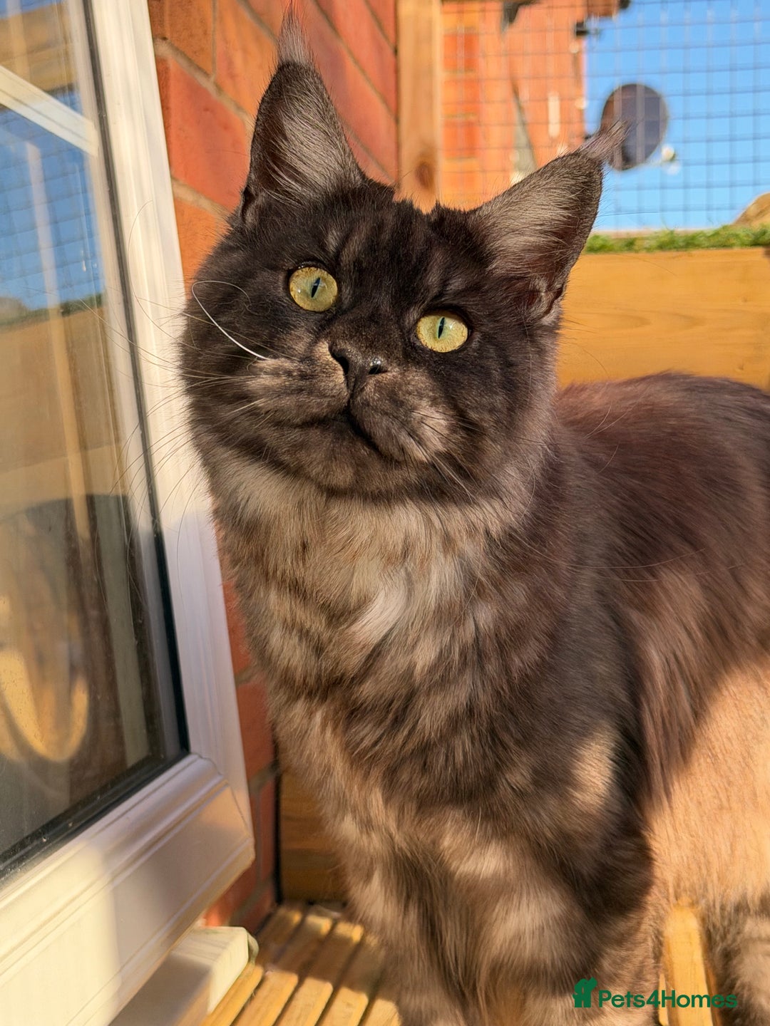 Gallery Image {{count}}