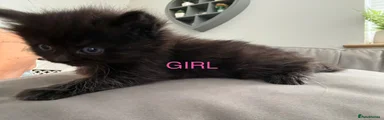 Black girl 1