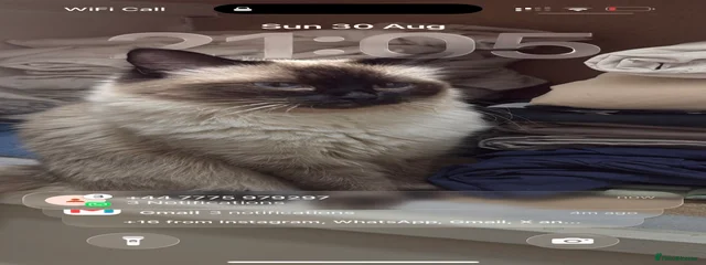 Why