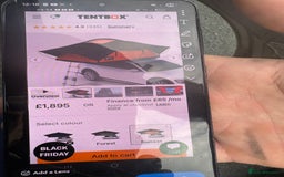 Dachshund dogs for sale: Long haired  - Image 3