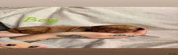Labrador Retriever dogs for sale: 7 Fox Red Labrador Puppies🐶 - Advert 6