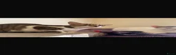 Arabian Mau cats for sale: Stray Arabian mau looking for new home in Llanelli - Advert 1