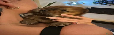 5. Ruby ❤️ Red girl