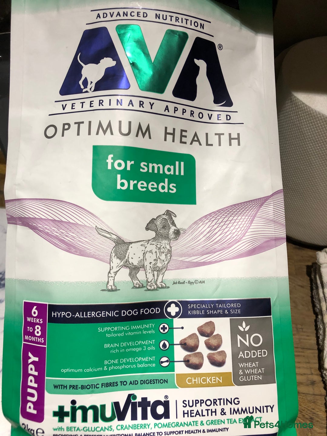 Cockapoo dogs for sale: 💛*COCKERPOO’S READY NOW in Cheshire*💛🏡 - Advert 27