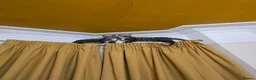 Mixed Breed cats for sale: Bengal cross kittens  - Advert 5