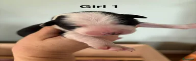 Girl 1