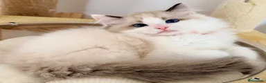 Boy2