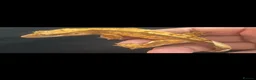 Gecko reptiles for sale: Baby gargoyle geckos and baby cresties lilys etx - Advert 19