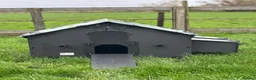 Mixed Breed poultry for sale: Smart Hen House - Recycled - 10/12 Hens - Advert 7