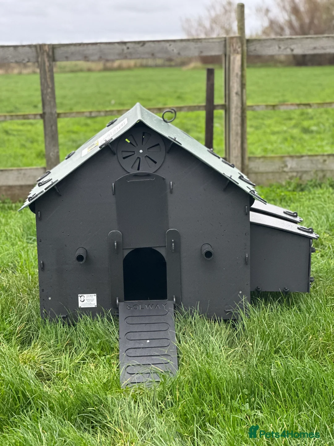 Mixed Breed poultry for sale: Smart Hen House - Recycled - 10/12 Hens - Advert 7
