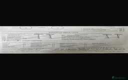 English Springer Spaniel dogs for sale: English springer spaniel puppies  - Image 8