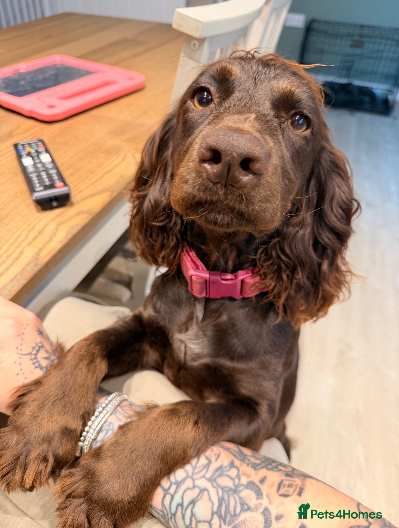 Maggie